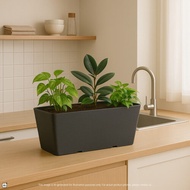 Felton Planter Box 2481 2482 2483 Pasu bunga Panjang Felton Berkualiti tinggi High Quality
