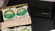 ❤️現貨❤️ 100 %恩仔黑刺貓山王榴槤果肉月餅 1盒6個 獨立包裝