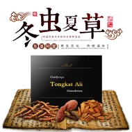 Tongkat Ali + Cordyceps + Ganoderma Extract for Immune System Booster &amp; Tonify Lung, Good Sleep, Fatigue Relief