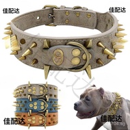 Bully Collar for Malinois, Cane Corso, Doberman, High Bite Resistance, Large Dog Rivet Collar, Wolf 