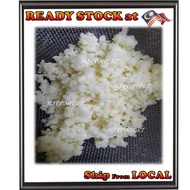 Milk Kefir Grains 5g/10g