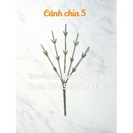 20 branches with 5 branches, each branch divides 5 small branches