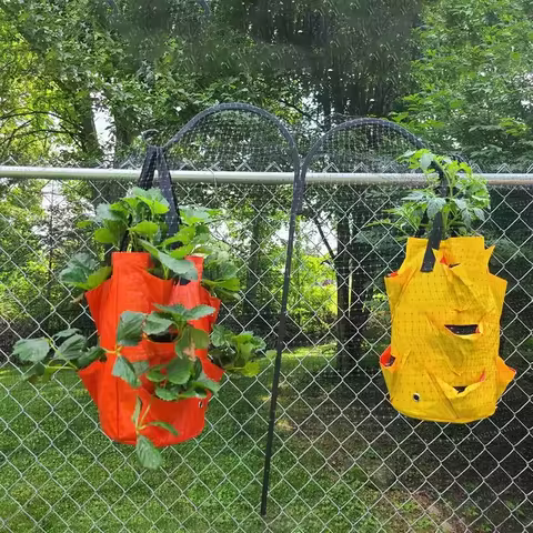 Strawberry Hanging Herb Pot Bag Easy Garden Storage Plant Care & Display Container - Eco-Friendly Gr