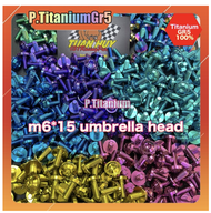 ( 10 pcs ) Ốc titan 6li15 6li20 6li10 dù to  m6x15 m6x20 m6x10 Umbrella Head