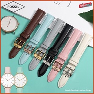 didaluky   Apply To FOSSIL Leather Watch Strap 12mm 14mm 16mm 18mm 20mm 22mm 24mm Women Men Watchban