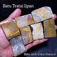 Centipede Lotus Agate Stone natural For Ring/ MATERIAL centipede lotus stone/bongkah natural centipe