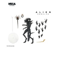 NECA 7" Alien : Romulus Ultimate Scorched Alien Xenomorph