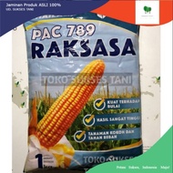 Benih jagung PAC 789 RAKSASA hibrida super produk PACIFIC SEEDS 1kg
