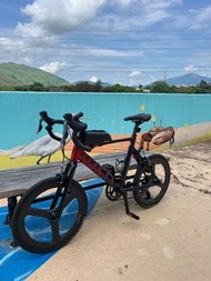 Tern surge 451 小輪徑 單車
