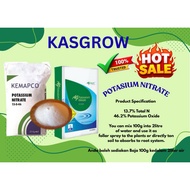Potassium Nitrate (PN) - 25kg. [Repack] Fertilizer - Baja Tunggal - HARGA BORONG -