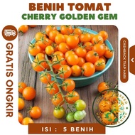 Paket Varietas Benih Cherry Tomat Serbaguna - Cherry Golden Ruby/Floridity/Red Ruby/Tropical Ruby/Mi