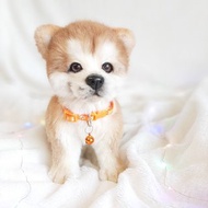 Plush puppy,realistic dog,to order,Collectible toy.Christmas Gift Wrapping.