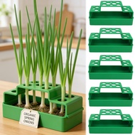 Plant Water Cultivating Box - Scallion Hydroponic Planter - Soilless Cilantro Growing Pots - Garlic 