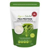 Golden European Pea Protein Isolated Pea Protein Pea Protein Plant protein Weight loss Diet Muscle b