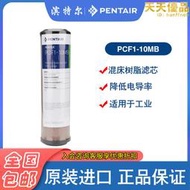 PENTAIR PENTEK濱特爾10 20寸PCF1-10MB工業用混床樹脂超純水濾芯
