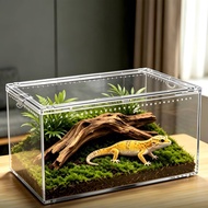 Natural Design Gecko Habitat Box Easy to Clean Lizard Habitat Enclosure Ventilated
