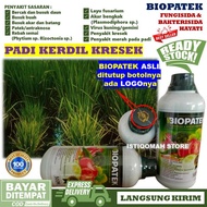Obat Padi Kerdil Kuning Paling Ampuh BIOPATEK 500ML Fungisida Hayati Obat Semprot Hama Padi Daun Kun
