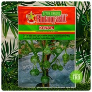 Paket 10g KENARI Bintang Asia Biji Benih Terung Bulat Hijau Premium Green Eggplant Seeds Benih Citra