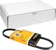CONTITECH 3PK630 V-Ribbed Belt