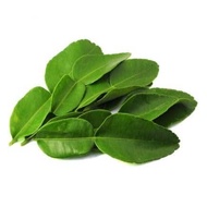 Restohub Fresh Kaffir Lime Leaves