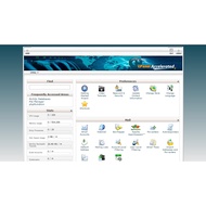 Web hosting cPanel Plesk SSD +  Unlimited SSL  (New York DC)