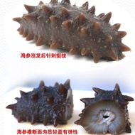 Wild Sea Cucumber and Sea Cucumber Dried Little Sea Cucumber and Sea Cucumber Buddha jumps over the wall Ingredients野生海参刺参淡干小海参 海参佛跳墙食材