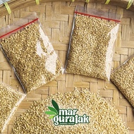 BIBIT CABE MERAH LOKAL BATUGARUT - 30gr