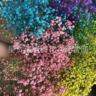Gypsophila Dried Flowers Yunnan Gypsophila Dried Flowers Bouquet Dyed Gypsophila Dried Flowers Whole