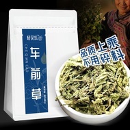 Wild Plantain Diuretic Tea Lowers Uric Acid and Reduces Edema