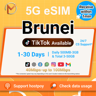 5G eSIM Brunei Travel Data Plan | Daily 500MB-3GB & Total 3GB-50GB Unlimited Data | 24/7 Support | I
