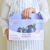 Delicious Blueberry Juice, 100ml X 20 pack