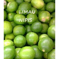 Buah Limau Nipis Segar 1kg