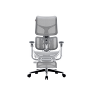Sihoo Doro S300 Ergonomic Chair With Leg Rest - White/Grey - Self Assembly