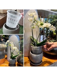 5入組蘭花盆,專為蘭花而設計的根控花盆,透明蘭花盆具有插孔網杯種植籃子,適用於盆栽園藝花卉植物盆栽