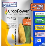 Benih Jagung Manis ASIA MANIS SS 932  - CROP POWER (100 GRAM)  Sweetcorn Seed  甜玉米种子 SS932