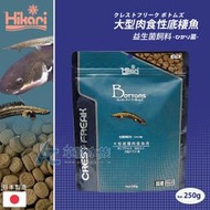 【AC草影】Hikari 高夠力 大型肉食性底棲魚益生菌飼料（250g）【一袋】