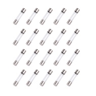 20 Pcs F2AL 250V 2A Fast-Blow Glass Fuses, 6x30mm/0.24x1.18 inch Fuse (2Amp) (F2AL250V)