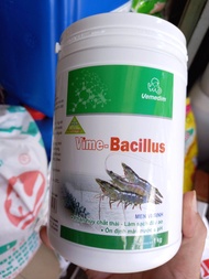 men vi sinhlàm sạch nước đáy ao 1kg/ lon