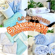 ผ้าห่ม 6.5 ฟุต 200*230 แถมฟรีกระเป๋า! ผ้าห่ม งานคละลายน่ารัก นิ่มฟุ อบอุ่น PZ2