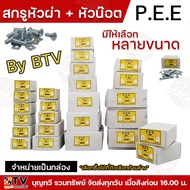 Pee Cross Head Screw + Nut Sold In A Box To Choose From Many Sizes 3/16-1/4 Length 3/8-4 Inches.