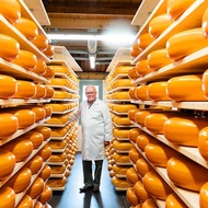 荷兰进口德宝黄波芝士高达奶酪 伊顿奶酪红波芝士三明治佐餐Dutch Imported Debao Huang Bo Cheese Gouda Cheese20250930