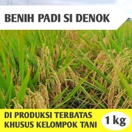 BIBIT PADI UNGGUL JENIS CIHERANG SI DENOK KUALITAS PER 1KG