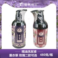 Xinjiang Worry-Free Princess Rose Essential Oil Lavender Essential Oil Shampoo Shampoo Silicone-Free