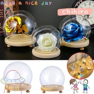 CHIHIRO Glass cloche Plants Home Decor Terrarium Transparent Bottle Glass Vase Jar Flower Storage box