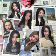 Babymonster Small Day Card Rose Bao Guai Bao Guai YG Small Day Rose Card Offline Genuine Xianjiao Te