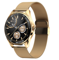 全城熱賣 - E16智慧手錶雙藍牙通話手錶機身鋅合金多國語言（金鋼）