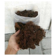 Black kadaka root/moss planting media 1 kg natural203 ready ak