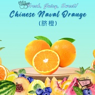 [5D Grocer] Fresh Chinese Navel Orange/China Orange 脐橙 (Box of 5)