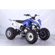 ATV PENTORA 250CC MALAYSIA READYSTOCK