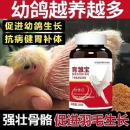 [Young Pigeon Racing Young Pigeon Racing Young Pigeon Racing Young Pigeon Racing Pigeon Universal Yo